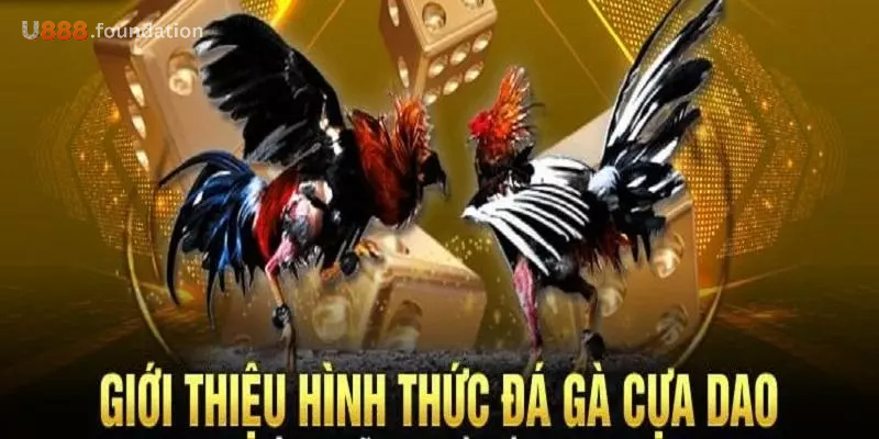 da-ga-cua-dao-loai-hinh.jpg